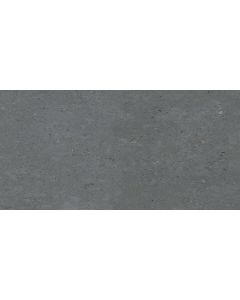 Pastorelli Biophilic 60x120cm Anthraciet Mat (P009416AJ)