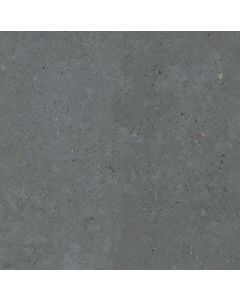 Pastorelli Biophilic 80x80cm Anthraciet Mat (P009420)