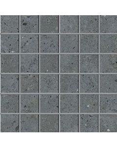 Pastorelli Biophilic 30x30cm Anthraciet Mat (P009531)