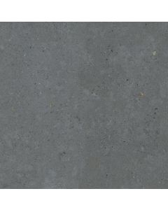 Pastorelli Biophilic 60x60cm Anthraciet Mat (P009497J)