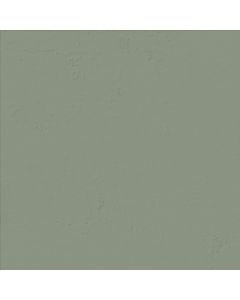 Amos Pictura Olive 120x120R