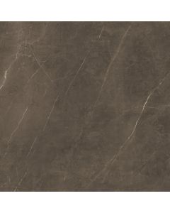 Amos Tessano Bronze 120x120R Mat