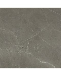 Amos Tessano Grey 80x80R Gepolijst