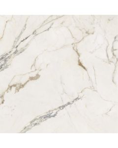 Amos Ravello White 120x120R Gepolijst