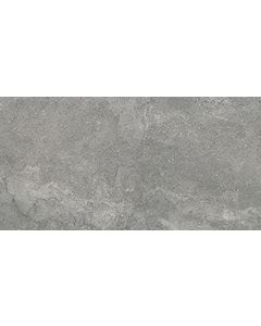Amos Petria Graphite 60x120R R10