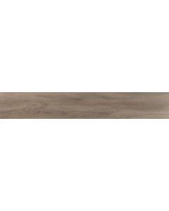 Amos Koltana Natural 20x120R