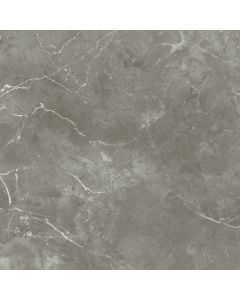 Amos Puccano Gris 60x60R Gepolijst