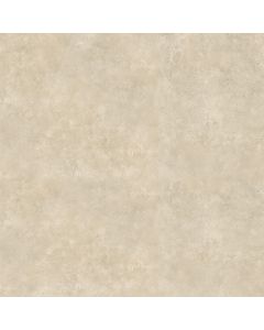 Amos Arcedis Latte 61x61 NR Mat R9