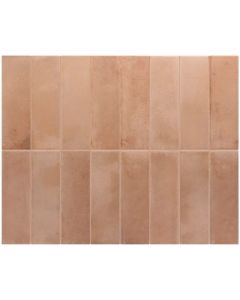 Amos Rakuto Nude 1,2x20 Jolly