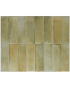 Amos Rakuto Sage 1,2x20 Jolly