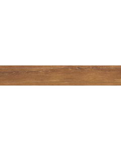 Amos Vernier Cigar 19,5x121R
