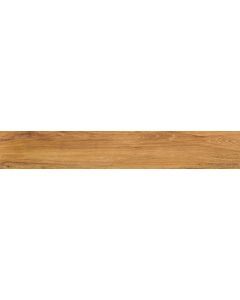 Amos Vernier Honey 24x151R
