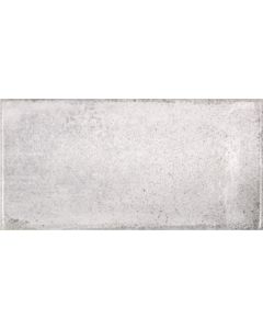 Amos Vitae Nebbia 10x20