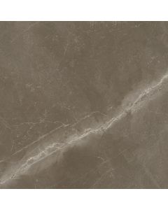 Amos Venesa Gris 98x98R Gepolijst