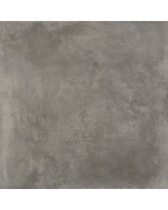 Amos Antines Grey 120x120R