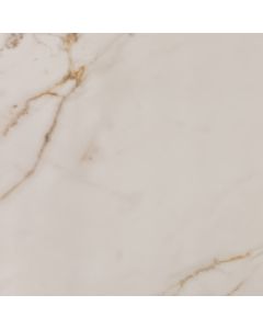 Amos Goldara White 60x60R Mat
