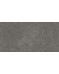Villeroy & Boch Hudson 29,7x59,7cm Anthraciet Mat (2576SD9B)