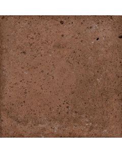 Vives Root Bold 13x13