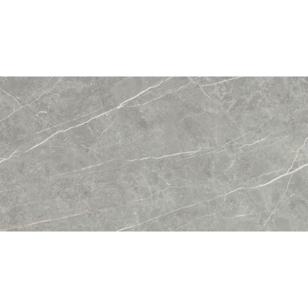 CeraVision Elite Grijs 30x60cm (Elite Gray  Ceravision)
