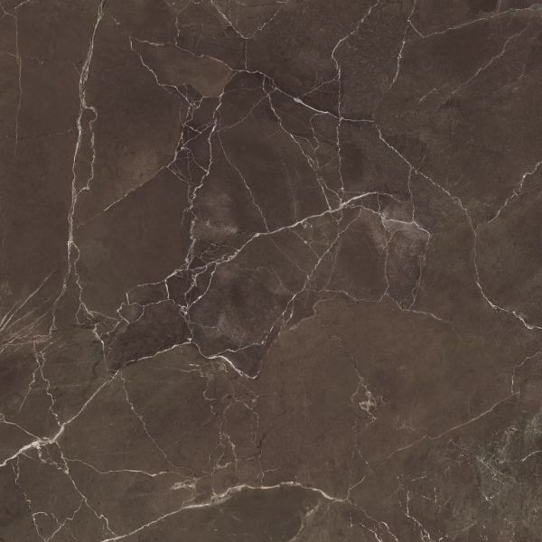 CeraVision Jewels Bruin 60x60cm (Jewels Emperador Select Lucida JW05 Ceravision)