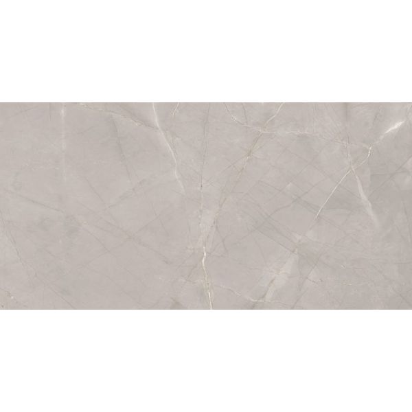CeraVision Jewels Grijs 60x119,7cm (Jewels Raymi Lucida JW16 Ceravision)