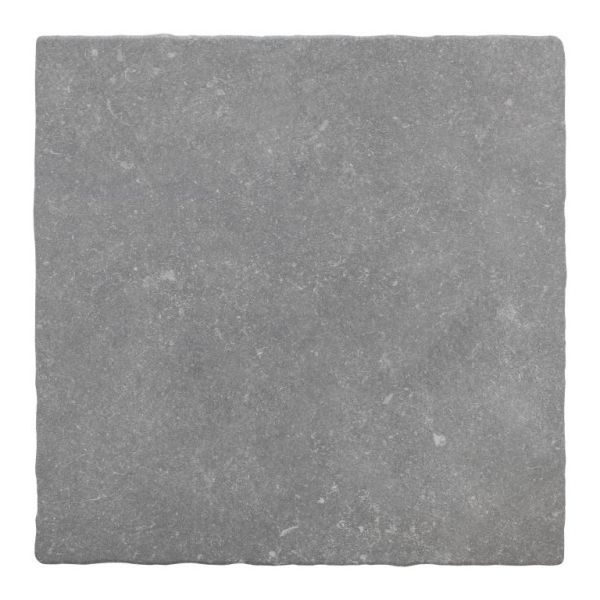 CeraVision Pierre Belge Grijs 50x50cm (Pierre Belge Gris 51% Ceravision)