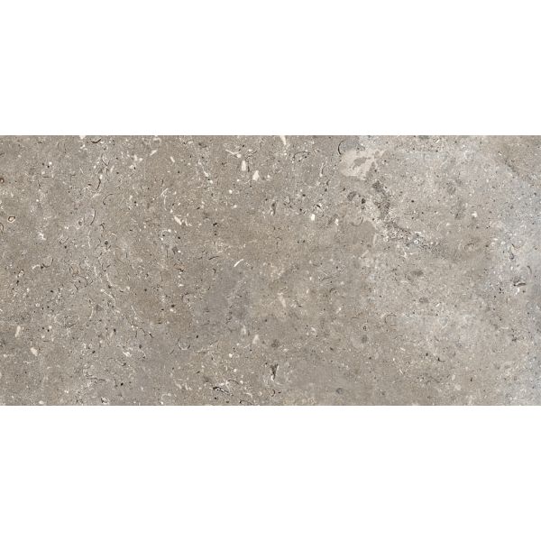 Dom Ascot Signature Stone Grijs 60x120cm (Signature Stone Dark)