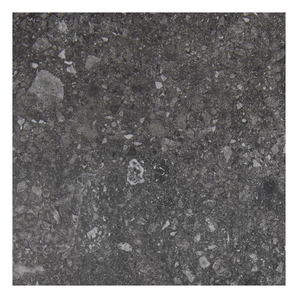 vtwonen Tegels Composite 246603 Vloertegel 60X60cm Black Antraciet 9mm Mat Ret.R10