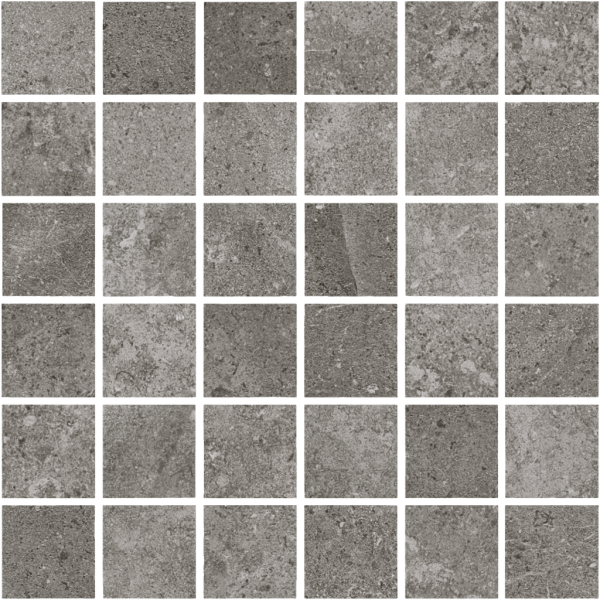 Magica Leccese Mos Fossile Matt 30X30 10,5mm