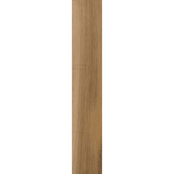 Castelvetro Aequa Castor 13X80 10mm