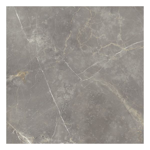 vtwonen Tegels Classic 100126 Vloertegel 60X60cm Grey 10mm Glans Ret.