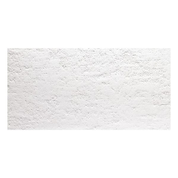 1524916-ceramic-apolo-essence-2,95x5,92cm-branco-vloertegel