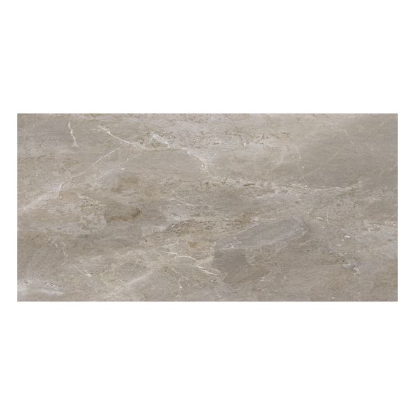 1648510_porcelaingres_roy._stone_60x120cm_palladium_grey