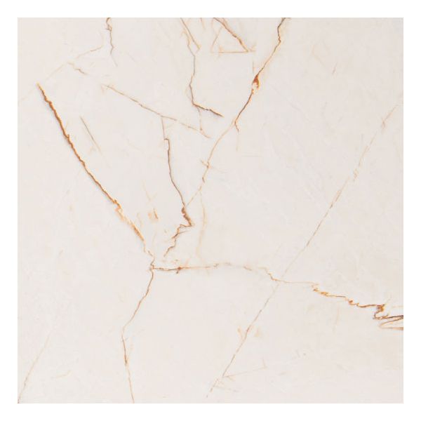 vtwonen Tegels Classic 100233 Vloertegel 60X60cm Caramel 9mm Mat Ret.R9