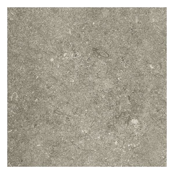 Kronos Le Reverse RS003 Vloertegel 60X60cm Taupe Eleg.10mm Mat Ret.R10