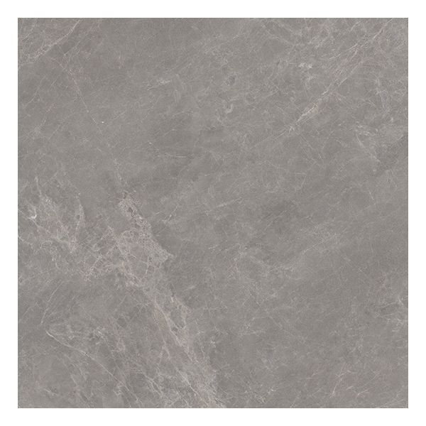 Porcelanosa Mystic 100336888 Vloertegel 120X120cm Grey Mat Ret.