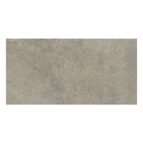 Ragno Richmond RALU Vloertegel 60X120cm Musk 8,5mm Mat Ret.R10