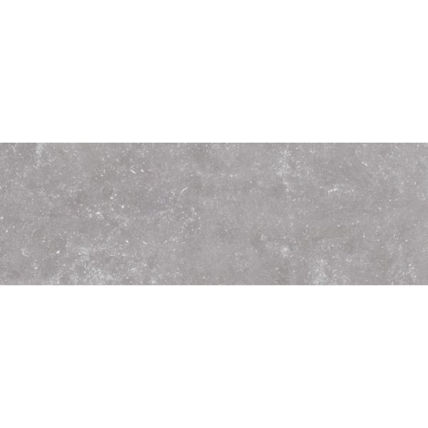 Saloni B-stone Grijs 25x75cm (B-Stone Gris)