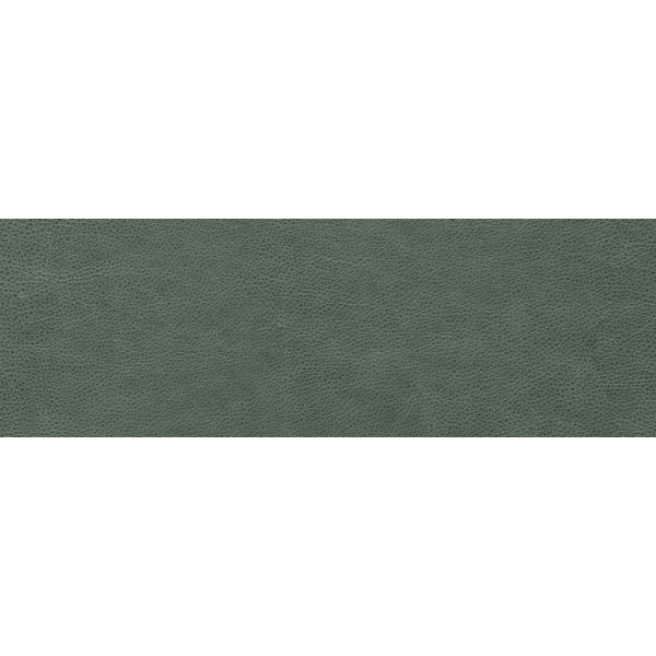 CeraVision Devotion Groen 30x90cm (Devotion Jackie Ceravision)