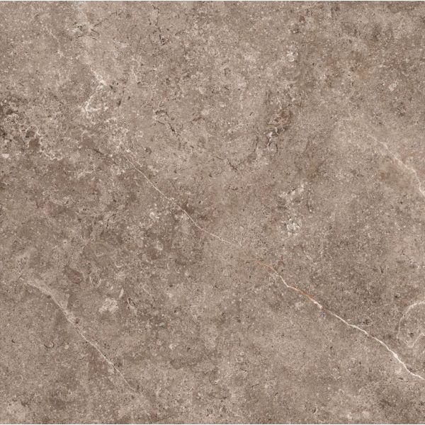 CeraVision Landstone Zwart 100x100cm (Landstone Carbon Ceravision)