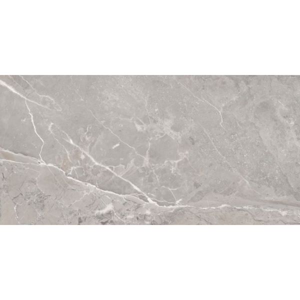 Saloni Toscana Grijs 60x120cm (Toscana Gris Mat)