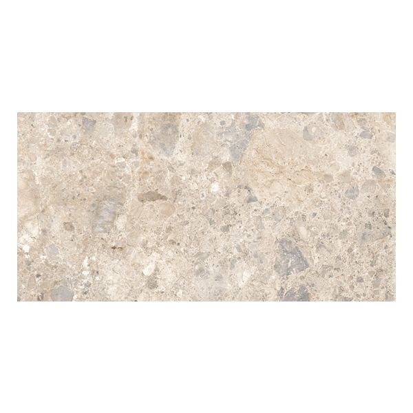 Ragno Eterna R8JN Vloertegel 60X120cm Mix Multic.8,5Mm Mat Ret.R10