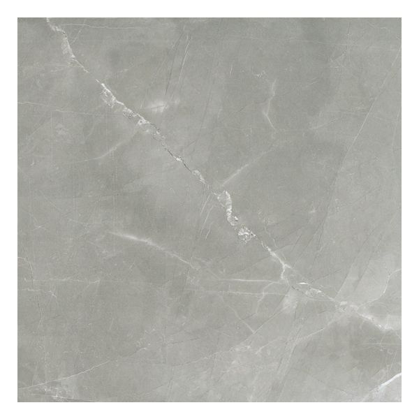 Florim Timeless 744866 Vloertegel 60X60cm Grey 9Mm Mat Ret.R9