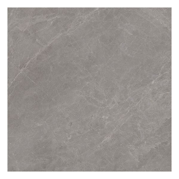Porcelanosa Mystic 100355845 Vloertegel 59,6X59,6cm Grey 8,5mm Mat Ret.