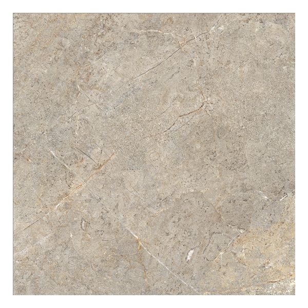 Cercom Everstone 1089332 Vloertegel 60X60cm Everbrown 9,5mm Mat Ret.R10