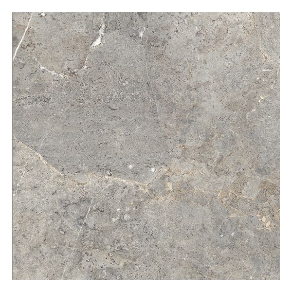 Cercom Everstone 1089330 Vloertegel 100X100cm Evergreige 8,5mm Mat Ret.R10
