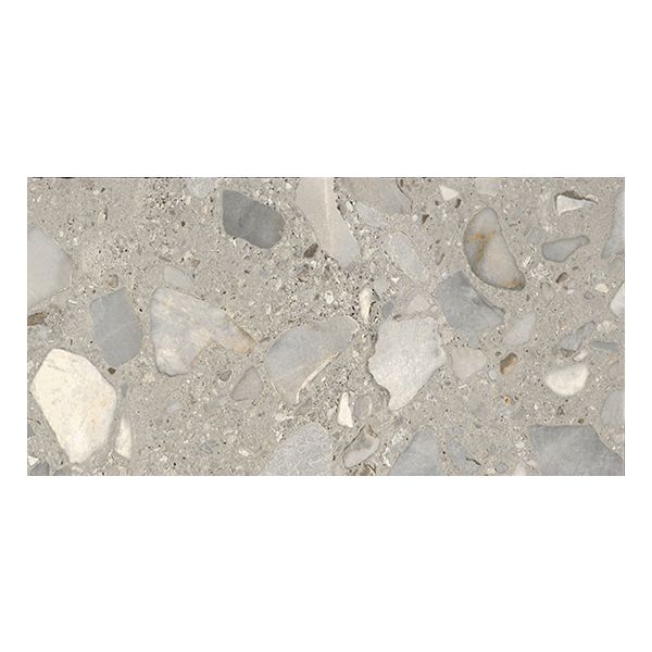 Douglas Jones Tinct Vloertegel 30X60cm Sassi Grigio pol-Mat 9mm Ret.