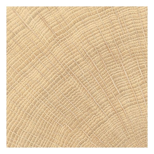 vtwonen Tegels Woodcirkle 10x10cm Oak Enjd