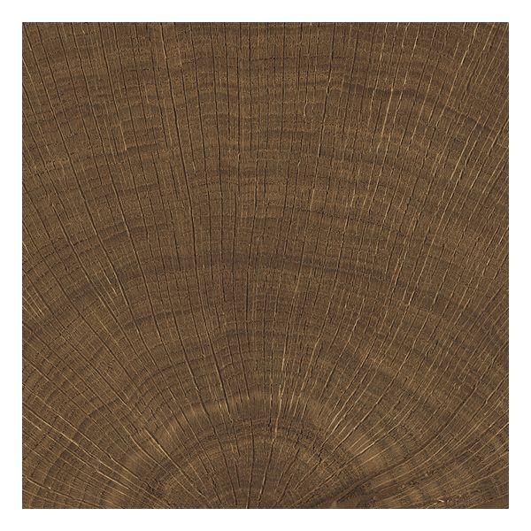 vtwonen Tegels Woodcirkle 10x10cm Wenge Enjf