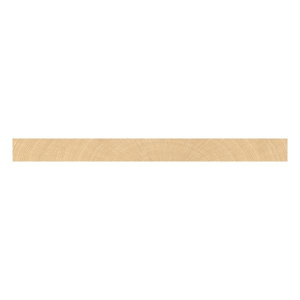 vtwonen Tegels Woodcirkle 10x120cm Oak Enl5